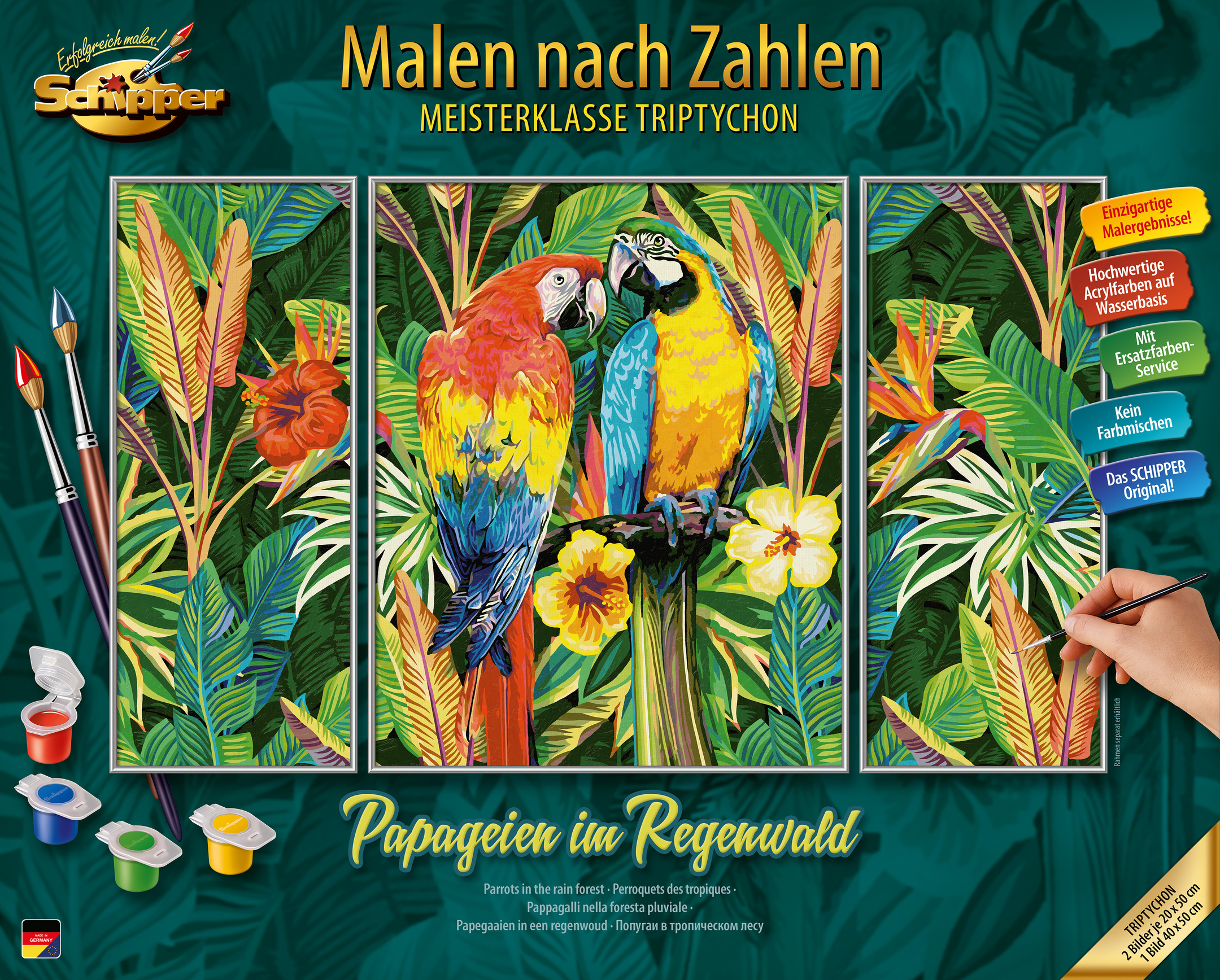 MnZ - Papageien im Regenwald 